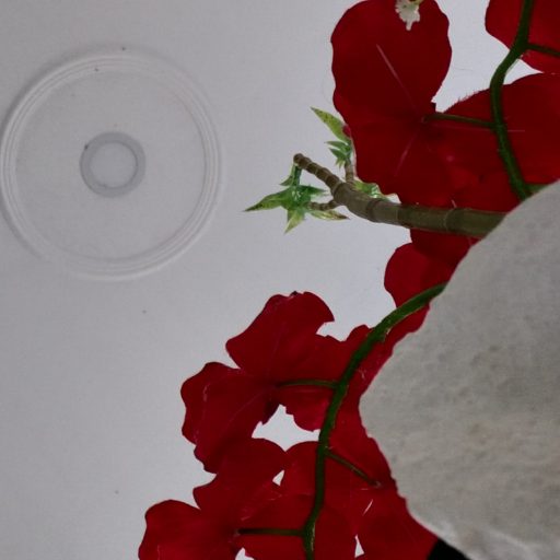 Crises do eu com os outros